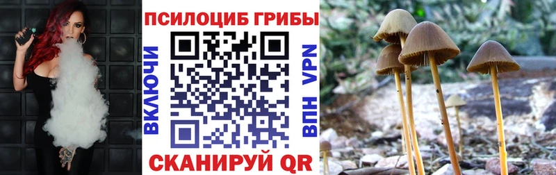 Псилоцибиновые грибы Psilocybe  Елизаветинская 